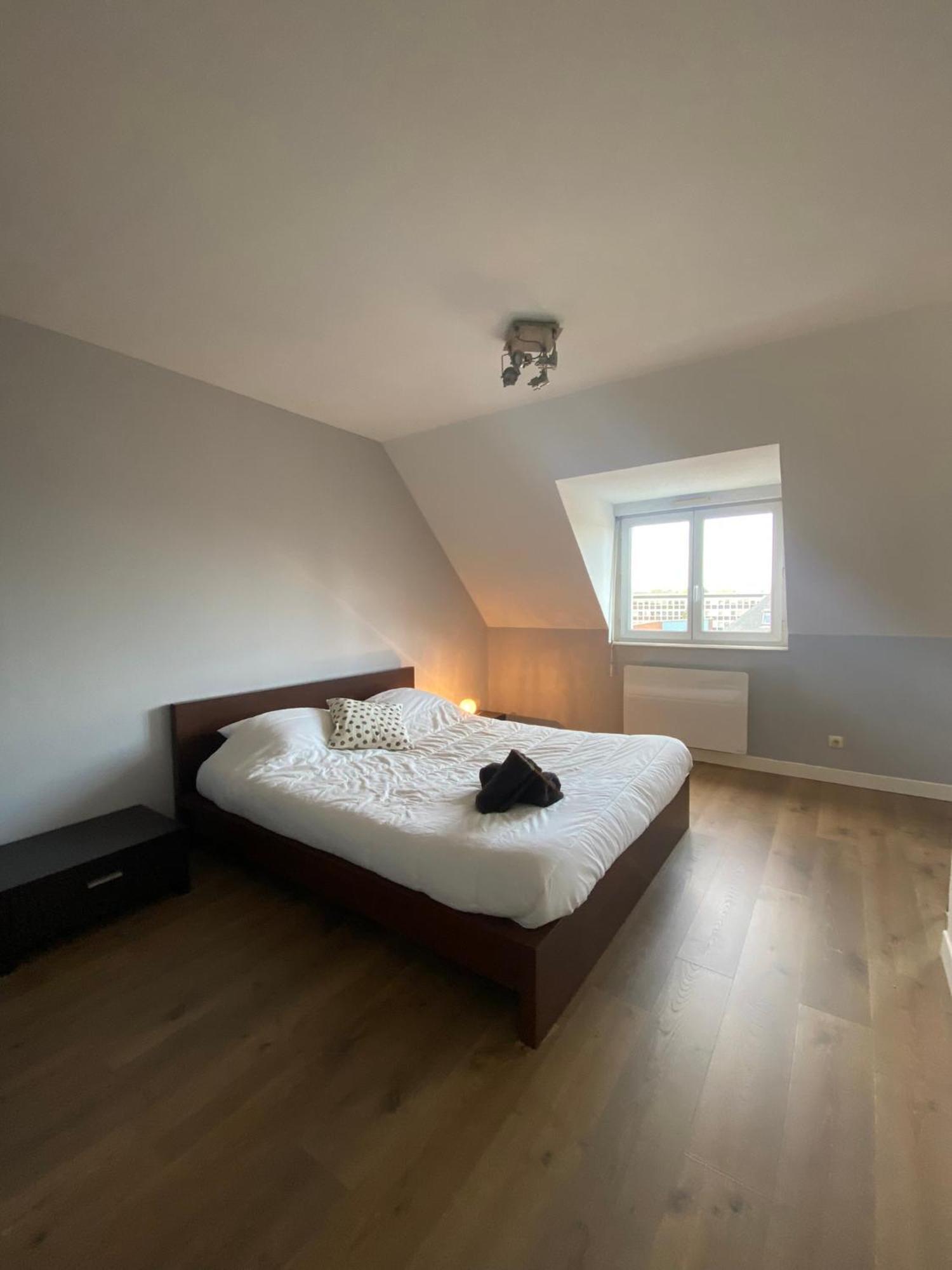 2 Chambres Hyper Centre Avec Place De Parking Et Wifi Амьен Экстерьер фото